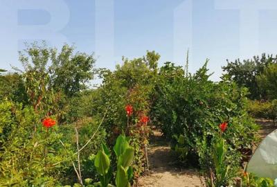 Casă cu 4 camere cu Teren 1200 Mp în Central - 3