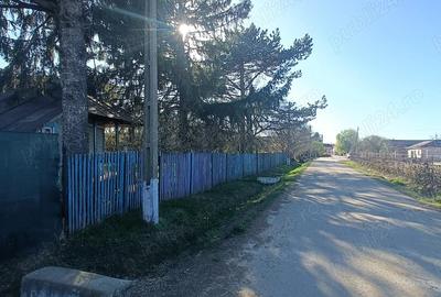 Oaza de liniste: Proprietate generoasa cu poten?ial de Investi?ie Locuin?a - 6