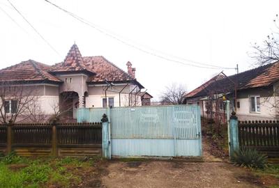 Proprietate multifunctionala cu potential rezidential si comercial - 2