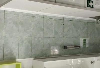 Spațiu comercial, în Șagului - 3