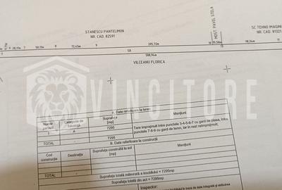 Teren Intravilan 7.295 mp | Deschidere la DN 73, Mărăcineni - 1