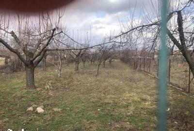 Casă cu 3 camere cu Teren 1768 Mp în Drajna - 15