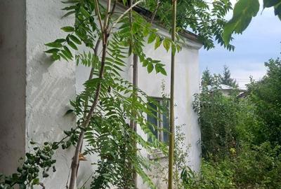 Casă cu 2 camere cu Teren 773 Mp în Central - 3