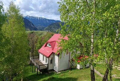 PESTERA CASA DE VANZARE - MOECIU! - 1