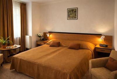 Hotel/Pensiune, de 930 mp, în Exterior Est - 3