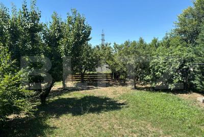 Casă cu 4 camere cu Teren 916 Mp în Dumbrăvița