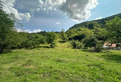 Teren 2 hectare pe Valea Ariesului, zona Scarita-Belioara, pret oportun 2 Eur/mp - 4
