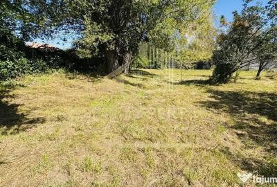 Teren de 3234 mp, în Lerești - 13