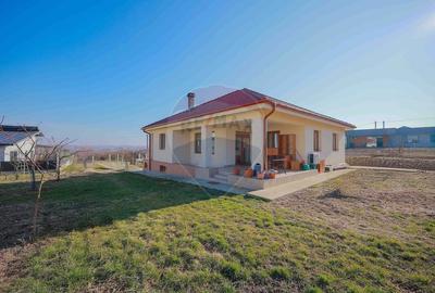 Casa de vanzare cu 5 camere in Paleu, 1454mp teren