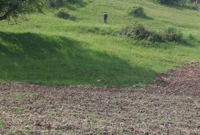 Teren de 12500 mp, în Central - 2