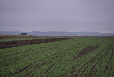 Spațiu comercial, în Gura Râului - 2