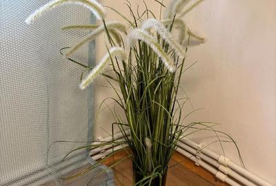 Garsonieră decomandată în Petros - 4