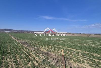 Teren de 537 mp, în Central - 3