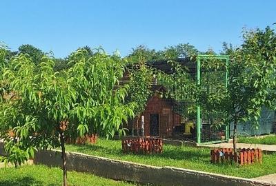 Casă individuală cu 3 camere cu Teren 500 Mp în Periș - 3
