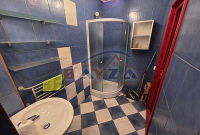 Vanzare apartament, strada Nicolae Iorga - Baia Mare, etaj 1, garaj si boxa - 11