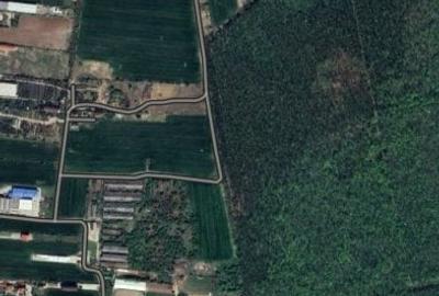 SNAGOV  TANCABESTI - 8