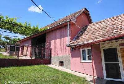 Casă cu 2 camere în Viișoara - 4