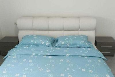 Apartament cu 2 camere în Buziașului - 8