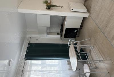 Garsonieră semidecomandată în Dudu - 7