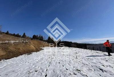 Teren intravilan Colibita 26 arii - 4