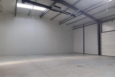 Spațiu comercial, de 736 mp, în Mogoșoaia - 1