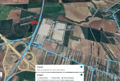 Teren intravilan 1 ha - Ciorogârla, deschidere directă la A1, viz-a-vis de eMAG - 3