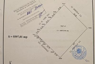 Casă cu 6 camere cu Teren 11500 Mp în Central - 1