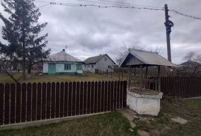 Casă cu Teren 3976 Mp în Dumbrăvița - 2