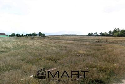 Teren Construcții intravilan de 1235 mp, în Turnișor - 1