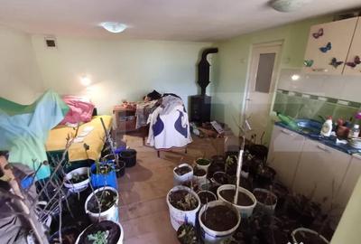 Casă cu 3 camere cu Teren 2000 Mp în Central - 12