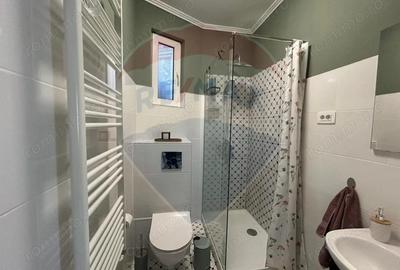 Apartament cu 2 camere de inchiriat str. Evreilor Deporta?i - 5
