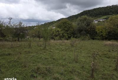 Teren de 5850 mp, în Central - 1