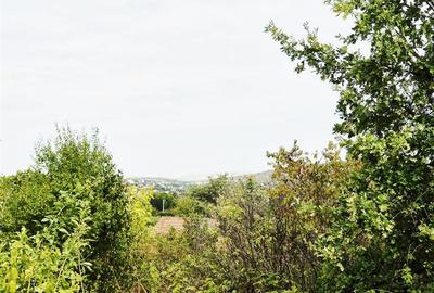 Teren Construcții intravilan de 955 mp, în Bucium - 2