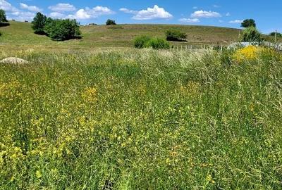 Teren Intravilan Podul Olt - 4