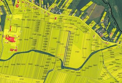Teren intravilan Niculesti - 9.589 mp Dambovita - 4