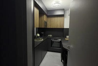 Apartament cu 2 camere decomandat, mobilat în Herăstrău - 2