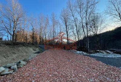 Teren Construcții intravilan de 1500 mp, în Cisnădioara - 5