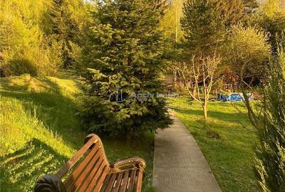 Spațiu comercial, de 800 mp, în Zemeș - 5