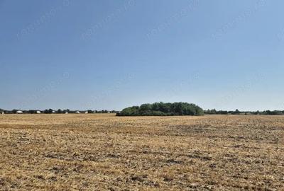 Teren de 4428 mp, în Balotești