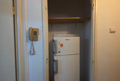 Garsonieră decomandată, mobilată în Doamna Ghica - 8