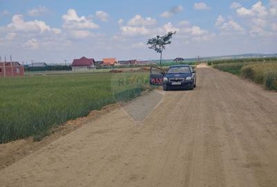 Teren intravilan de 6600 mp, în Dumbrăveni - 2