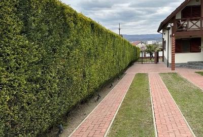 Casa de vanzare in Troian - 3