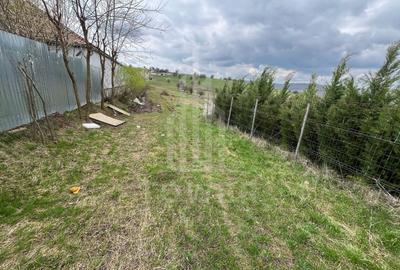 Terenuri de vânzare - Investiție cu potențial în Daia Nouă! - 3