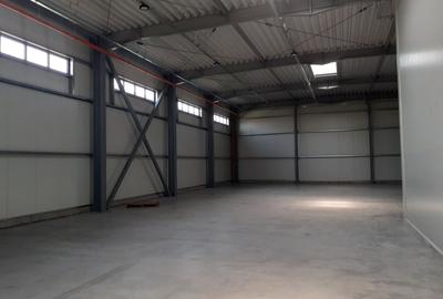 Spațiu industrial, de 600 mp, în Theodor Pallady - 3