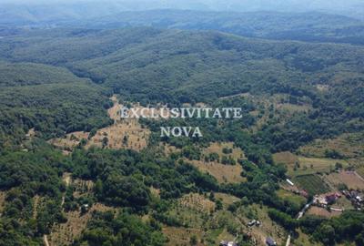 Oaza de natura si oportunitate in Baiculesti  Valea lui Enache, Arges - 3