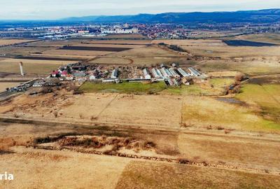 Spațiu comercial, de 72,600 mp, în Central - 10