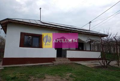 Casă cu 2 camere cu Teren 5000 Mp în Bucșani - 19