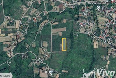 Teren 5300 mp Intravilan in Goruni – Tomesti - 3
