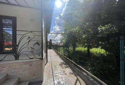 Cornu de Jos Doua case moderne, crama la subsol, prosumato - 5