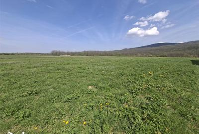 Teren de 500 mp, în Valea Aurie - 2